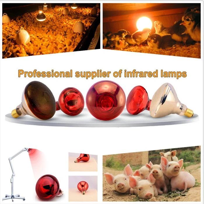 Applicable places for heat lamp for humans Applicable places for heat lamp for humans