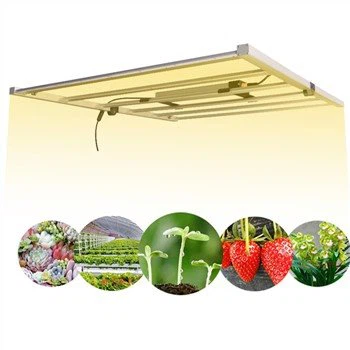 Đèn LED trồng cần sa 720W