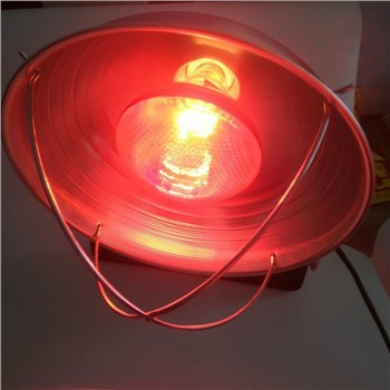 Bóng đèn sưởi hồng ngoại nhân giống bóng đèn với Lampshade