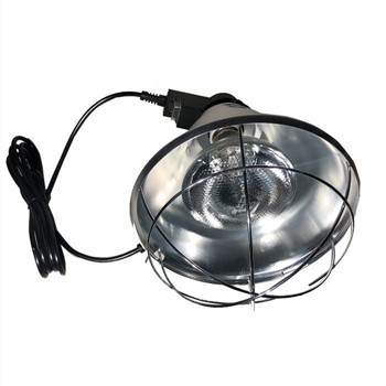 Bóng đèn hồng ngoại